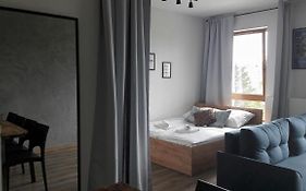 Silver Apartment in Wilanów